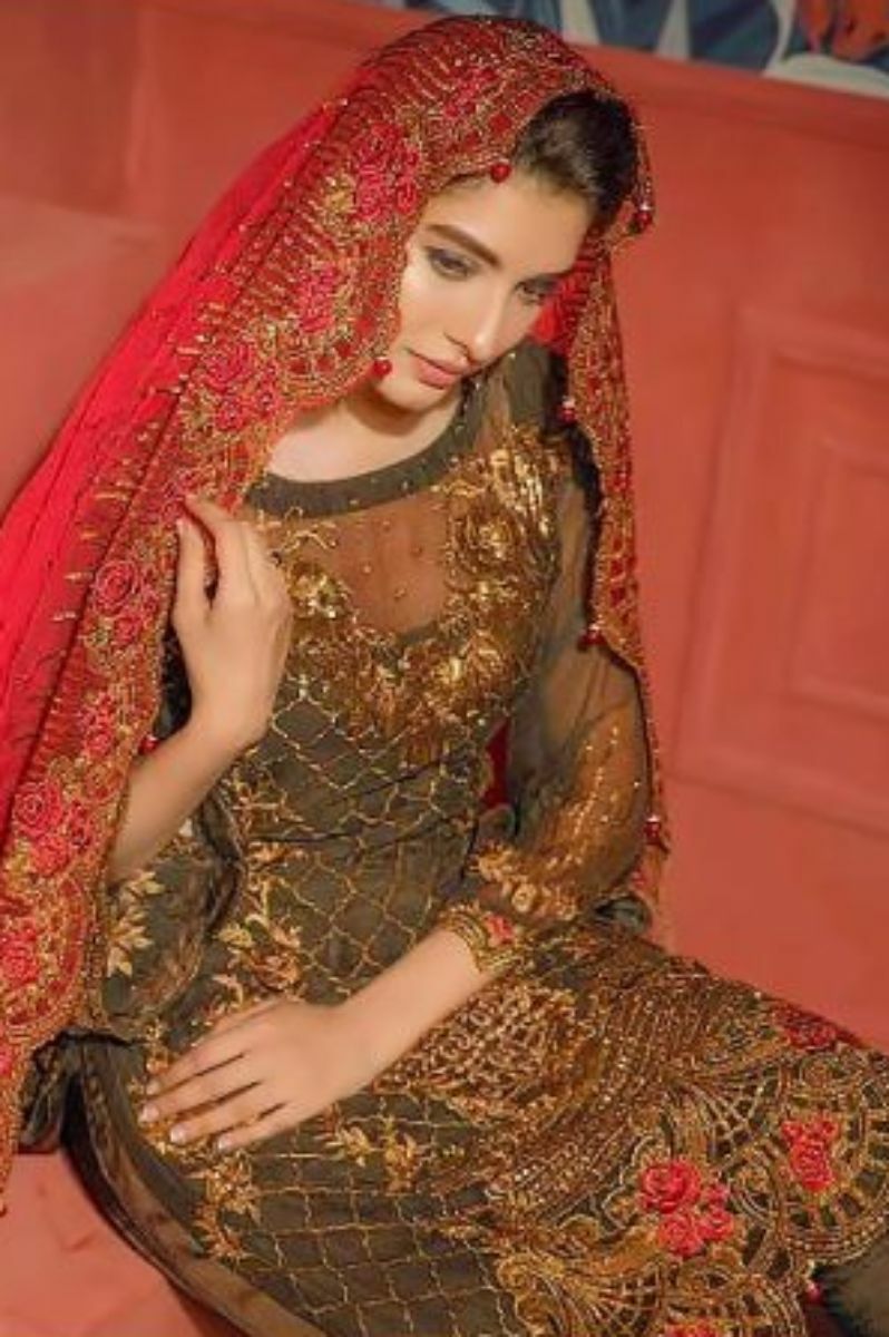Shree Fab Presents Faiza Luxury Vol 8 With Fox Georgette Salwar Kameez 1163