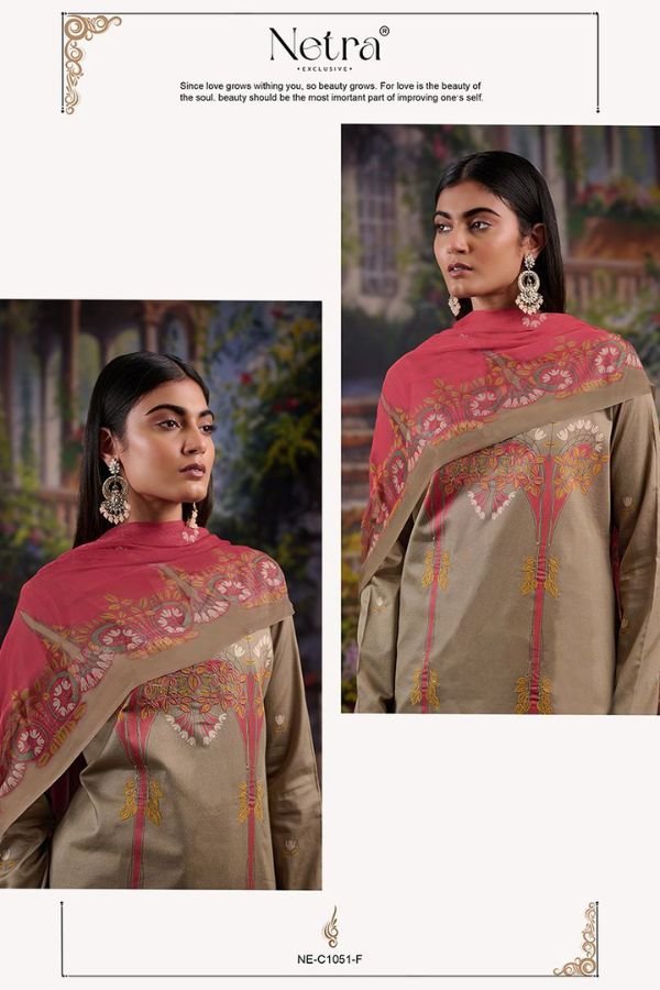 Netra Exclusive Aura Cotton Ladies Suits NE-C 1051 F