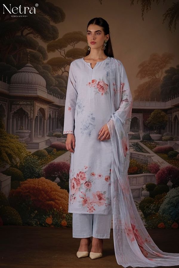 Netra Exclusive Jagvi Ladies Salwar Suits NE-C 1075 E