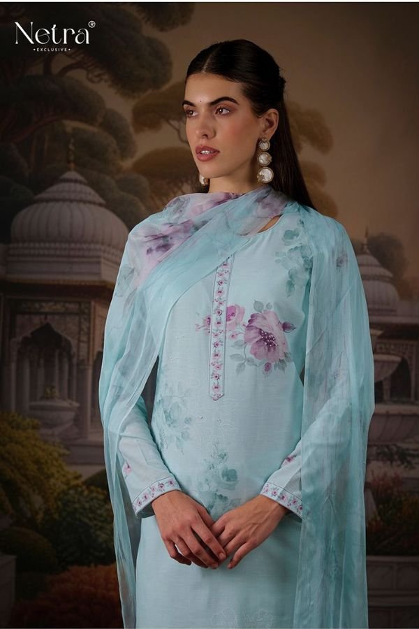 Netra Exclusive Jagvi Ladies Salwar Suits NE-C 1075 C