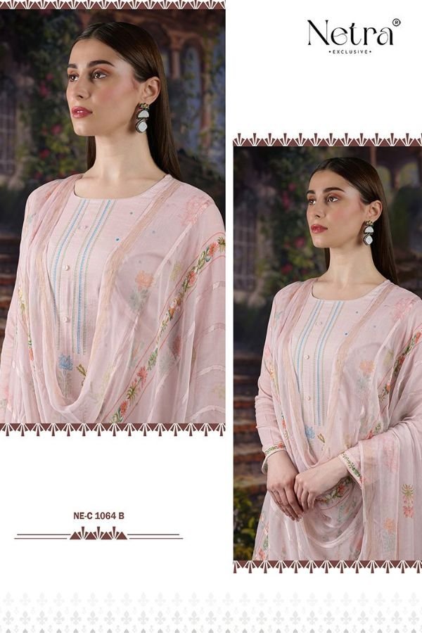 Netra Exclusive Mahika Ladies Salwar Suit NE-C 1064 B