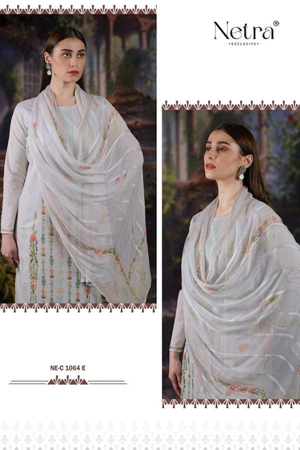 Netra Exclusive Mahika Ladies Salwar Suit NE-C 1064 E
