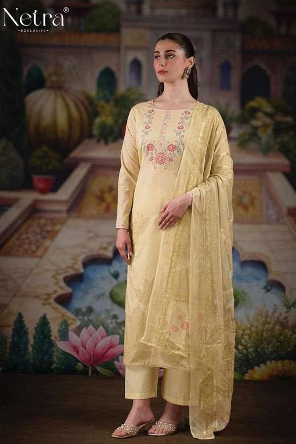 Netra Exclusive Veena Ladies Salwar Suit NE-C 1062 C