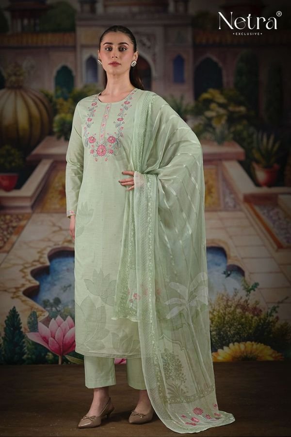 Netra Exclusive Veena Ladies Salwar Suit NE-C 1062 F