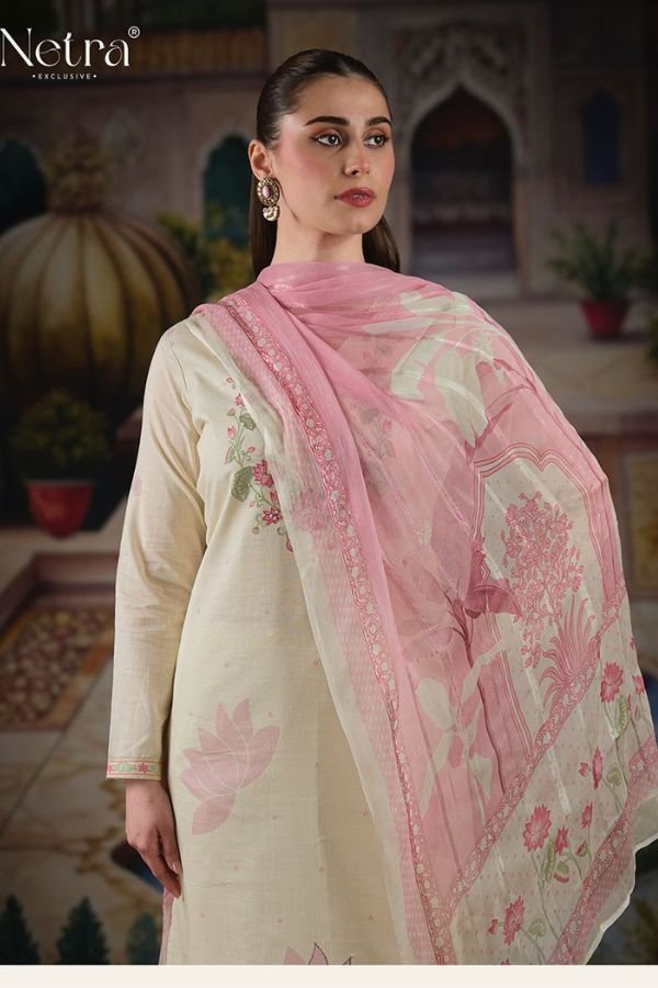 Netra Exclusive Veena Ladies Salwar Suit NE-C 1062 A