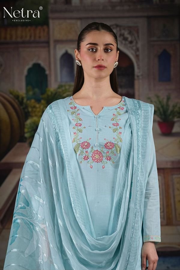 Netra Exclusive Veena Ladies Salwar Suit NE-C 1062 B