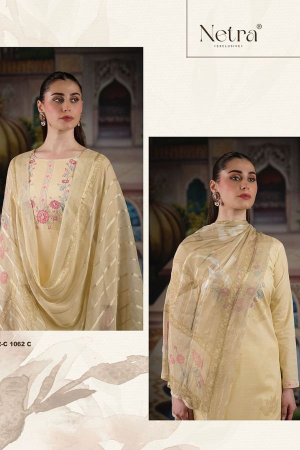 Netra Exclusive Veena Ladies Salwar Suit NE-C 1062 C