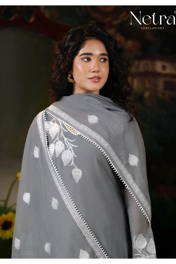 Netra Exclusive Eva Pure Banarasi Mul Suit NE-C 2134 B