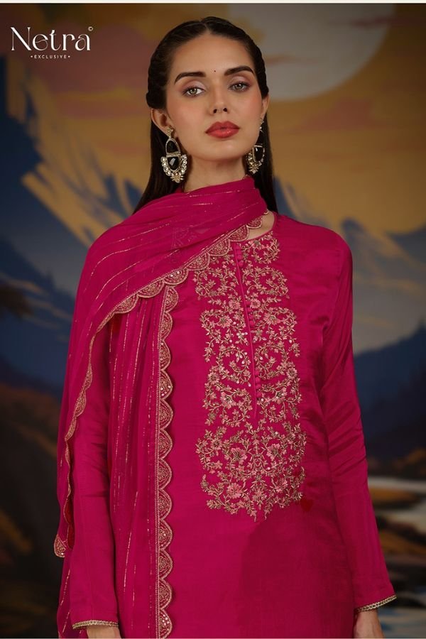 Netra Exclusive Ketki Silk Ladies Suit NE-C 1053 D