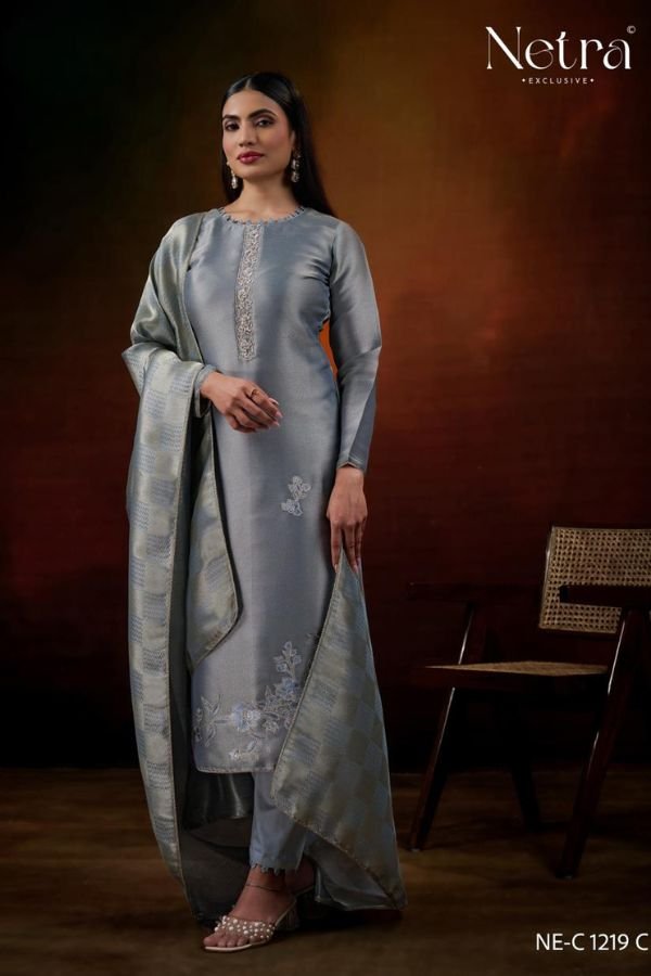 Netra Exclusive Lubna Silk Ladies Suit NE-C 1219 C