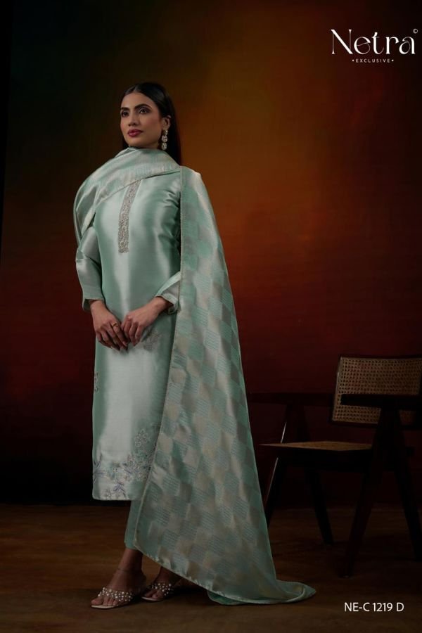 Netra Exclusive Lubna Silk Ladies Suit NE-C 1219 D