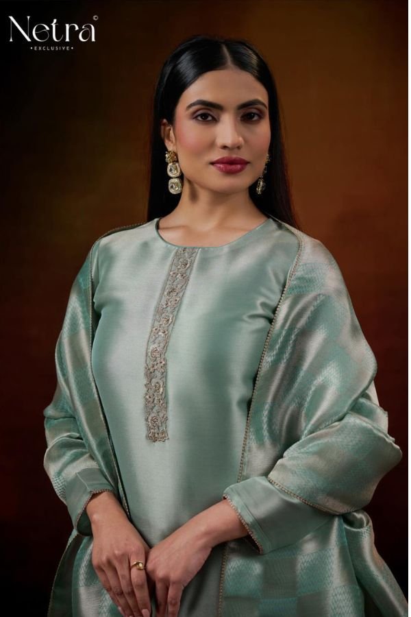 Netra Exclusive Lubna Silk Ladies Suit NE-C 1219 D