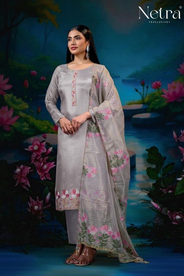 Netra Exclusive Zara Silk Ladies Suits NE-C 1217 E