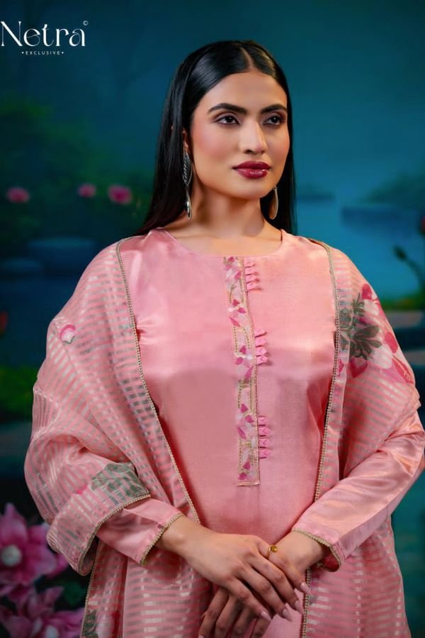 Netra Exclusive Zara Silk Ladies Suits NE-C 1217 A