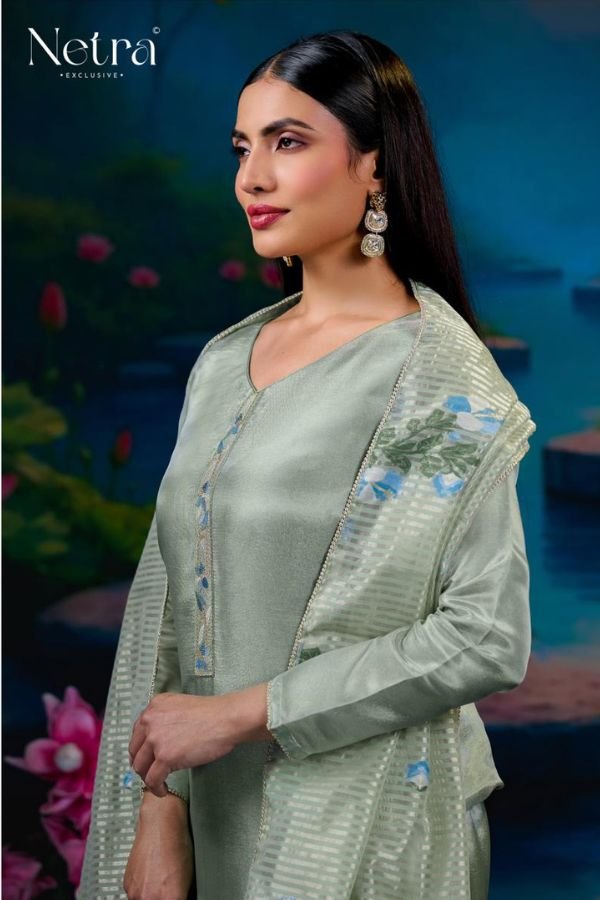 Netra Exclusive Zara Silk Ladies Suits NE-C 1217 B