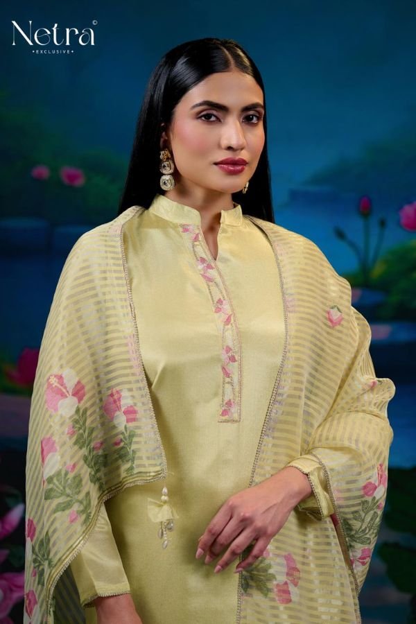 Netra Exclusive Zara Silk Ladies Suits NE-C 1217 C