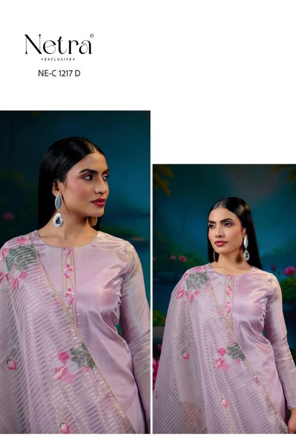 Netra Exclusive Zara Silk Ladies Suits NE-C 1217 D