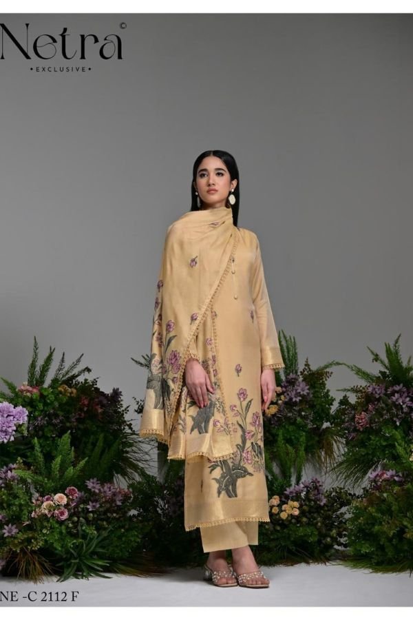 Netra Exclusive Poshak Ladies Salwar Suit NE-C 2112-F