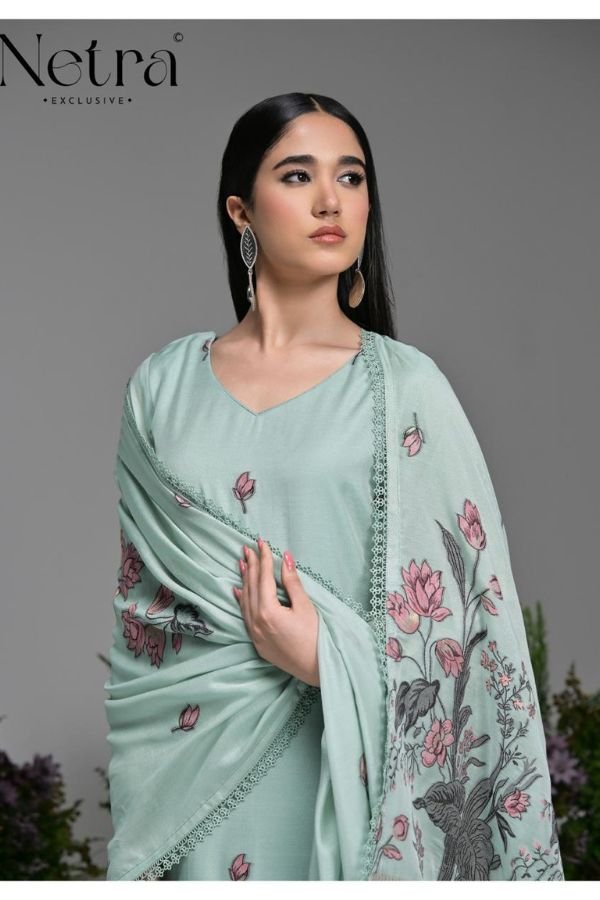 Netra Exclusive Poshak Ladies Salwar Suit NE-C 2112-B
