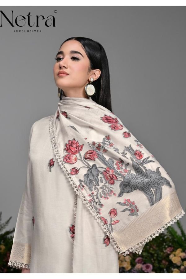 Netra Exclusive Poshak Ladies Salwar Suit NE-C 2112-C