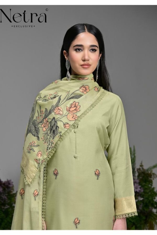 Netra Exclusive Poshak Ladies Salwar Suit NE-C 2112-D