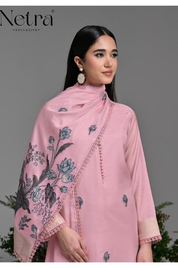 Netra Exclusive Poshak Ladies Salwar Suit NE-C 2112-E