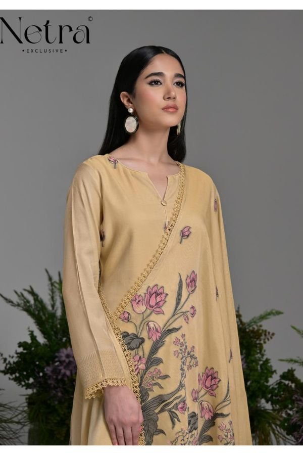 Netra Exclusive Poshak Ladies Salwar Suit NE-C 2112-F