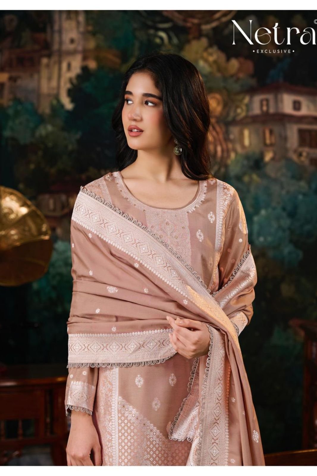 Netra Exclusive Neha Muslin Ladies Suit NE-C 2157 D
