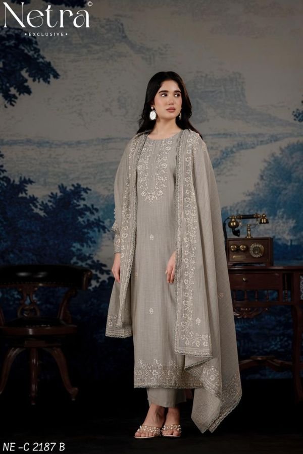 Netra Exclusive Darpika Pure Mul Chanderi Suit NE-C 2187 B
