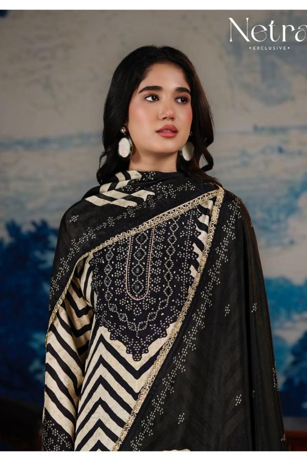 Netra Exclusive Mahek Vol-4 Muslin Ladies Suit NE-C 2159 C