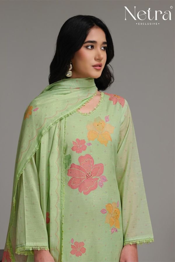 Netra Exclusive Shanti Pure Banarasi Mul Suit NE-C 2178 B