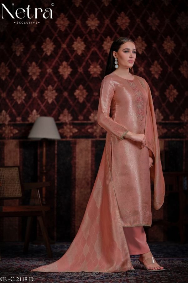 Netra Exclusive Aliya Pure Bemberg Silk Suit NE-C 2118 D