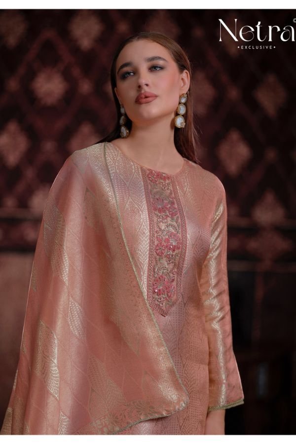 Netra Exclusive Aliya Pure Bemberg Silk Suit NE-C 2118 D