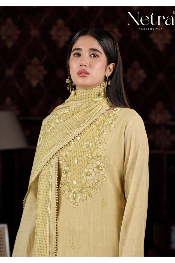 Netra Exclusive Charika Pure Banarasi Mul Suit NE-C 2197 F